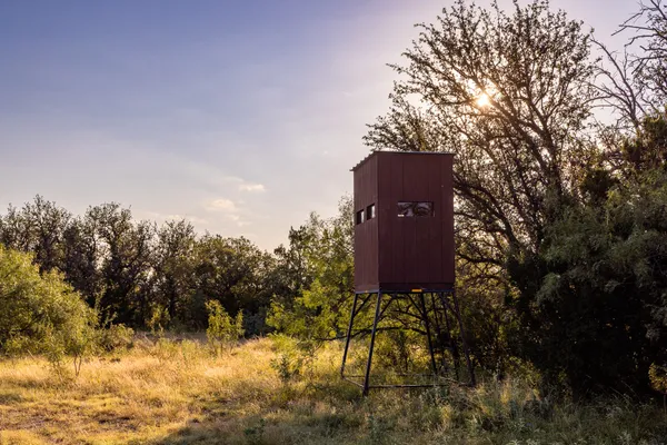 a view of a tall wooden wall and a large tree