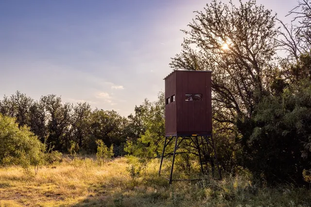 a view of a tall wooden wall and a large tree