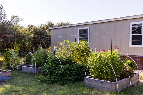 a view of a backyard with plants