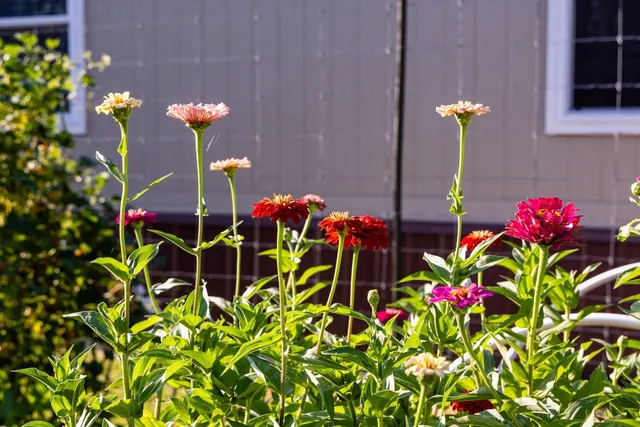 a front view of a house with a yard and balcony