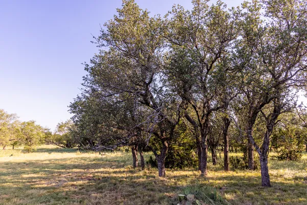 a front view of a house with a yard outdoor seating and garage