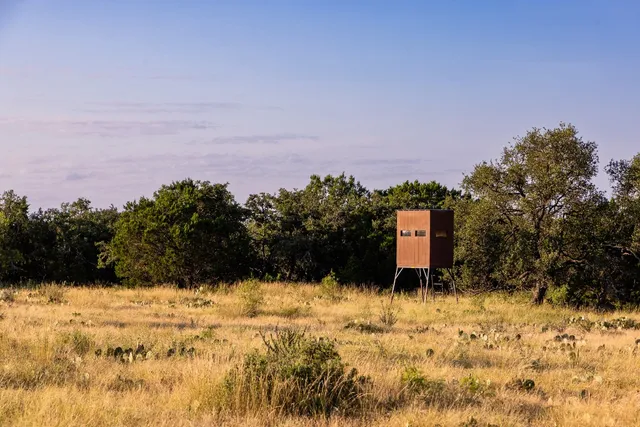 a view of a bunch of trees in a field