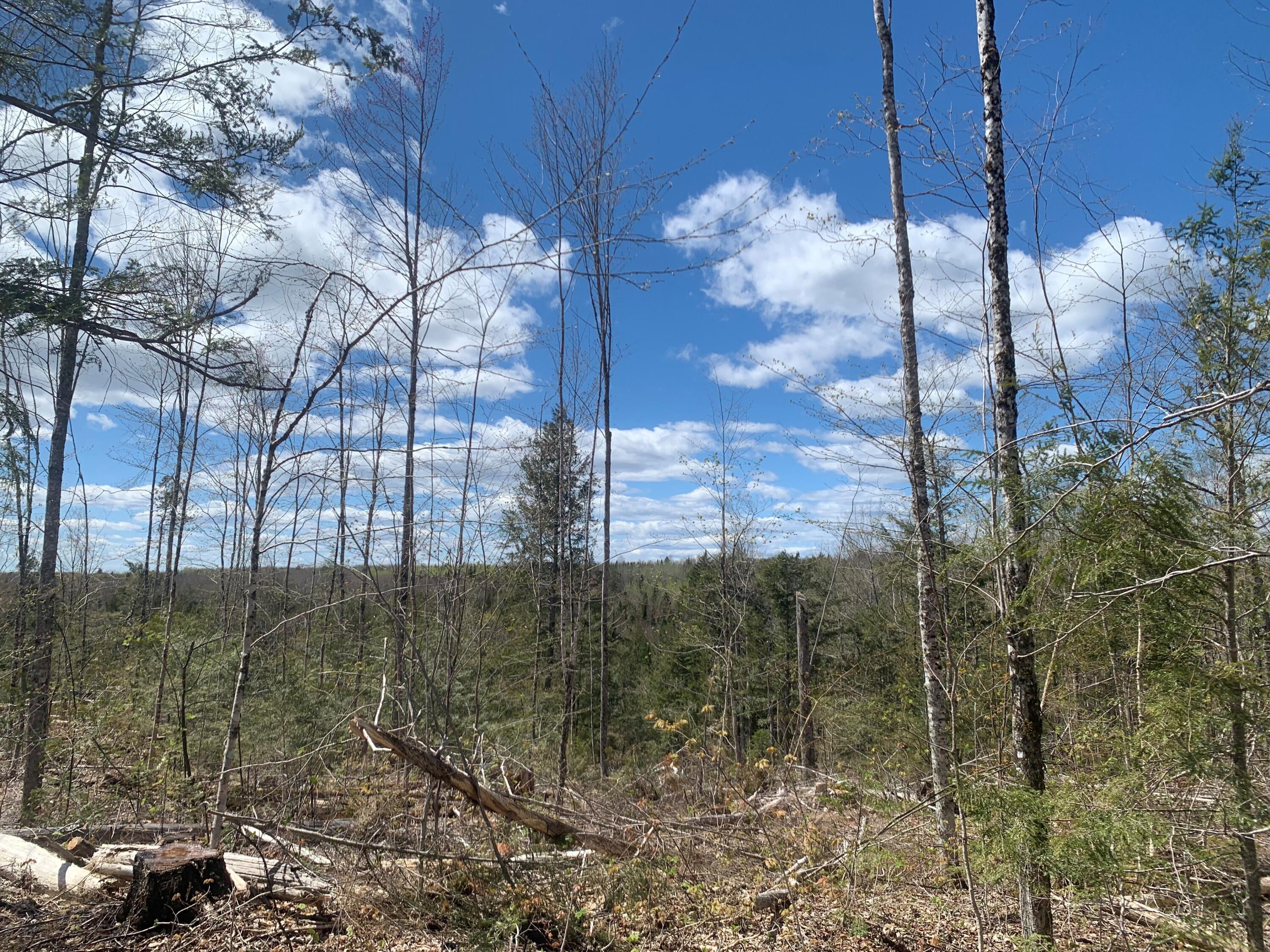 A Mill Hill Road Springfield, ME 04487 - Photo 6 of 14 6
