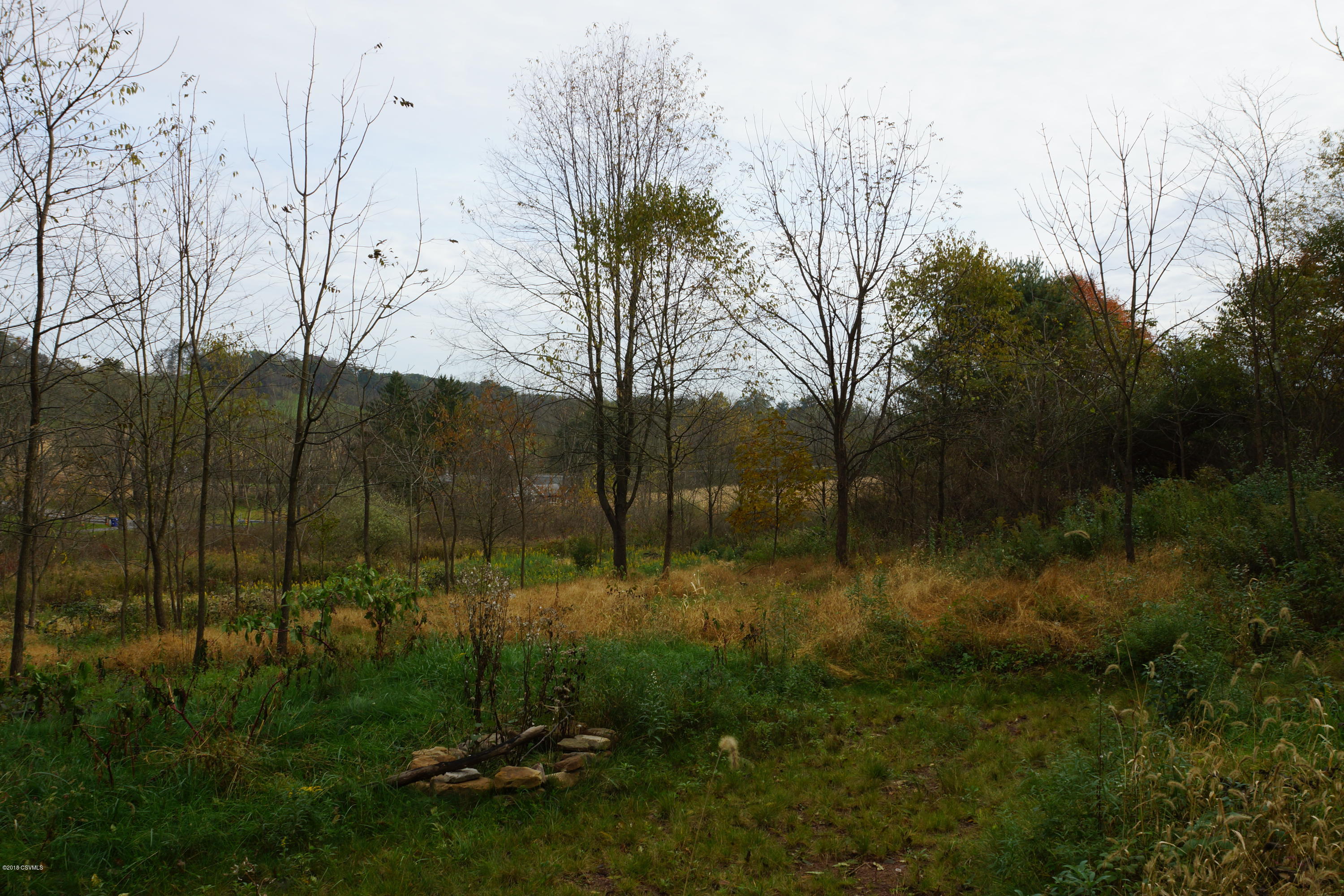 Lot 4 Milroy Road New Columbia, PA 17856 - Photo 9 of 27