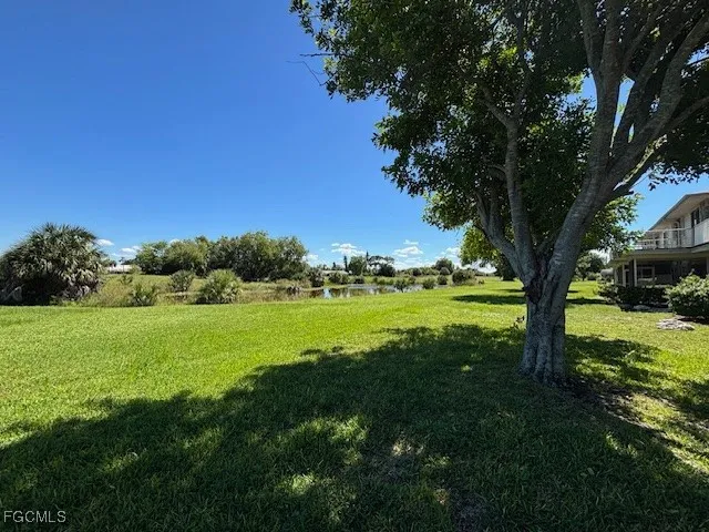 a view of a field with large trees