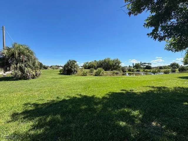 a view of a field with an trees