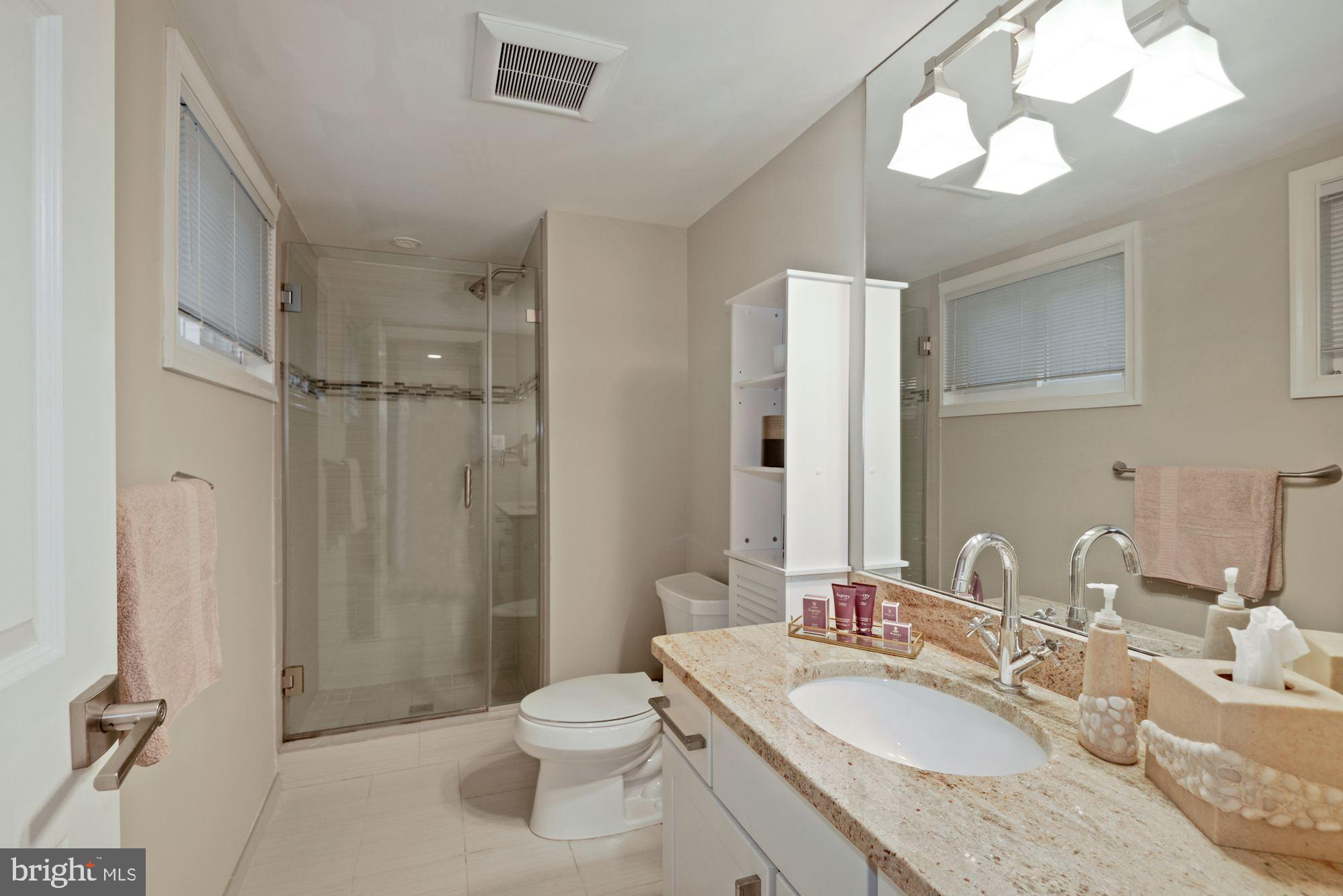 4107 Fessenden Street Northwest Washington, DC 20016 - Photo 44 of 52 Lower Level Bath