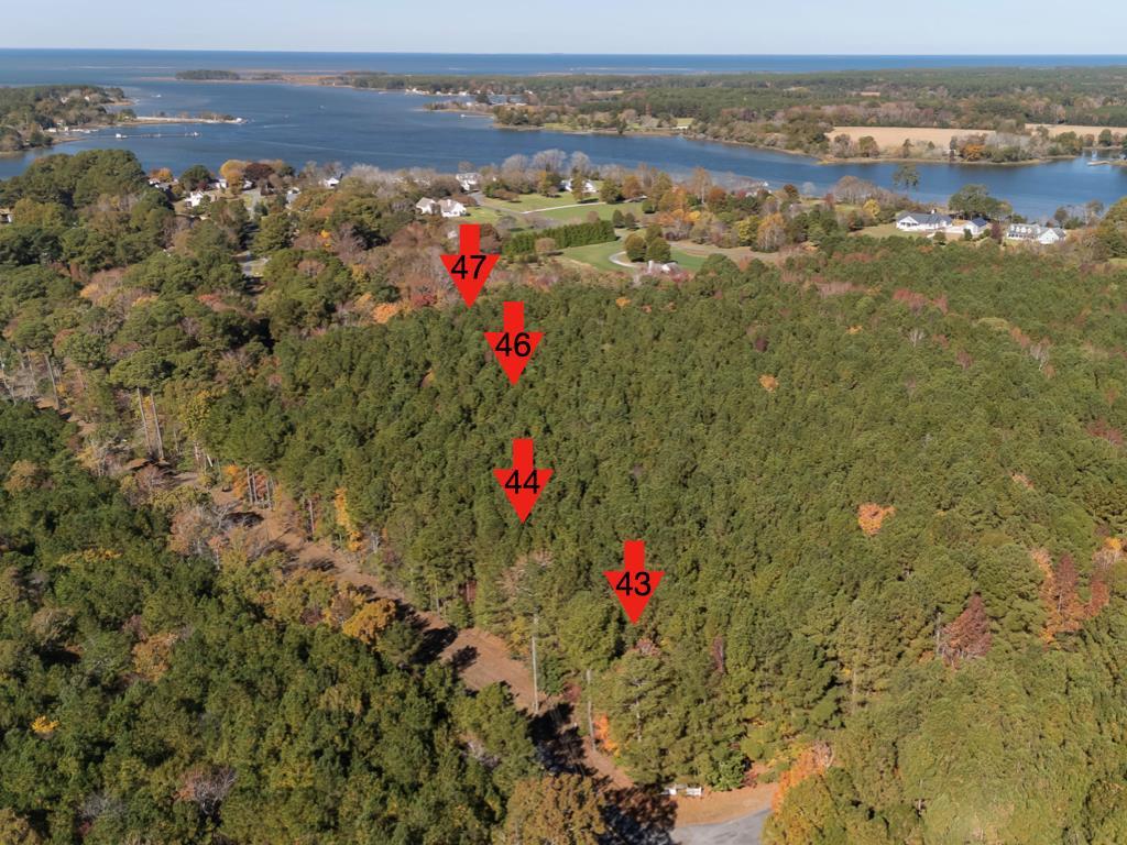 Lot 43 Country Club Road, Unit MULTI Melfa, VA 23410 - Photo 2 of 4