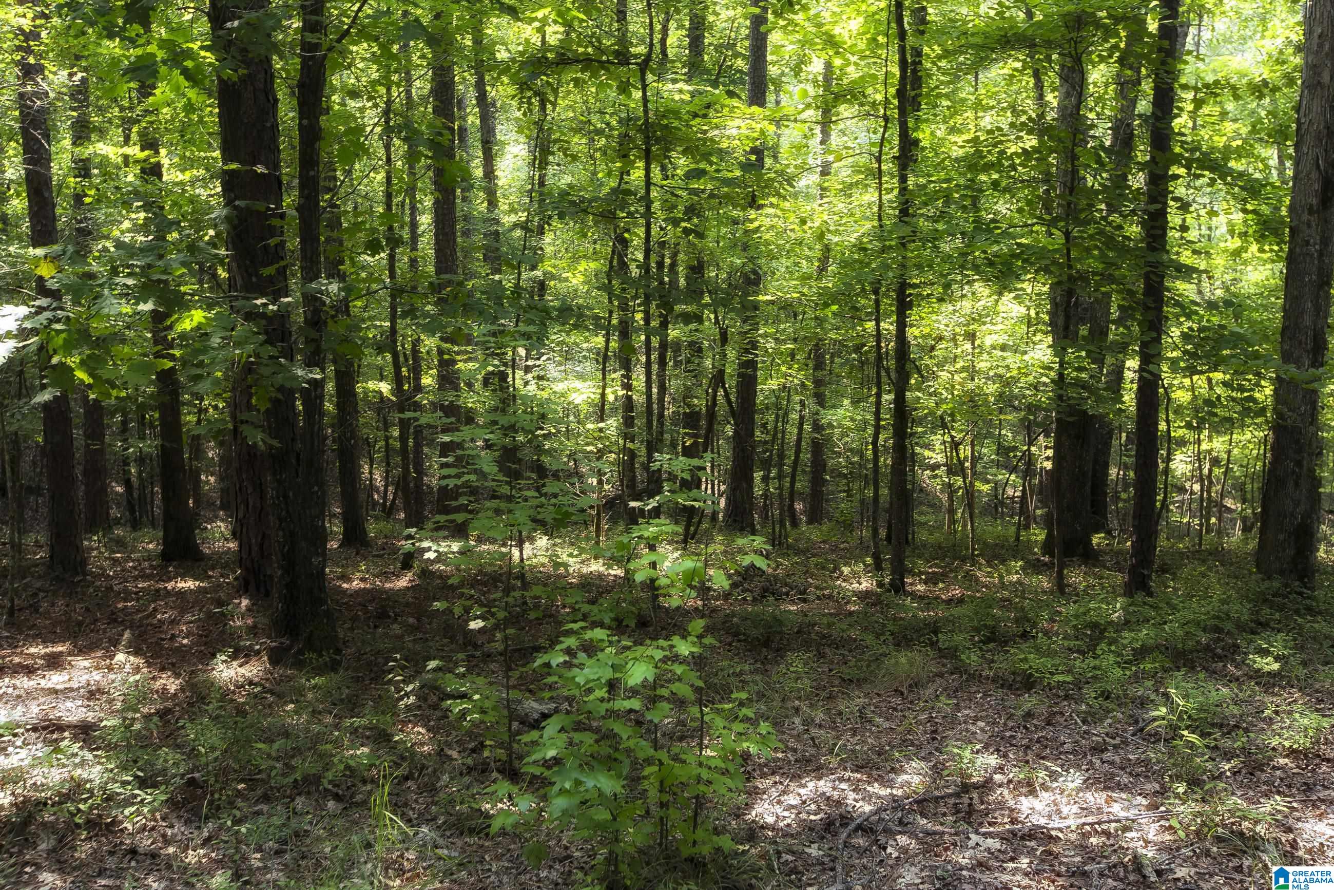 8532 Shady Trail, Unit 401 Helena, AL 35022 - Photo 14 of 25