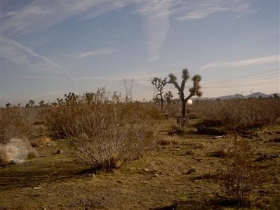 3793 Marco Road Phelan, CA 92371 - Photo 1 of 1 Level and ready for your new home.