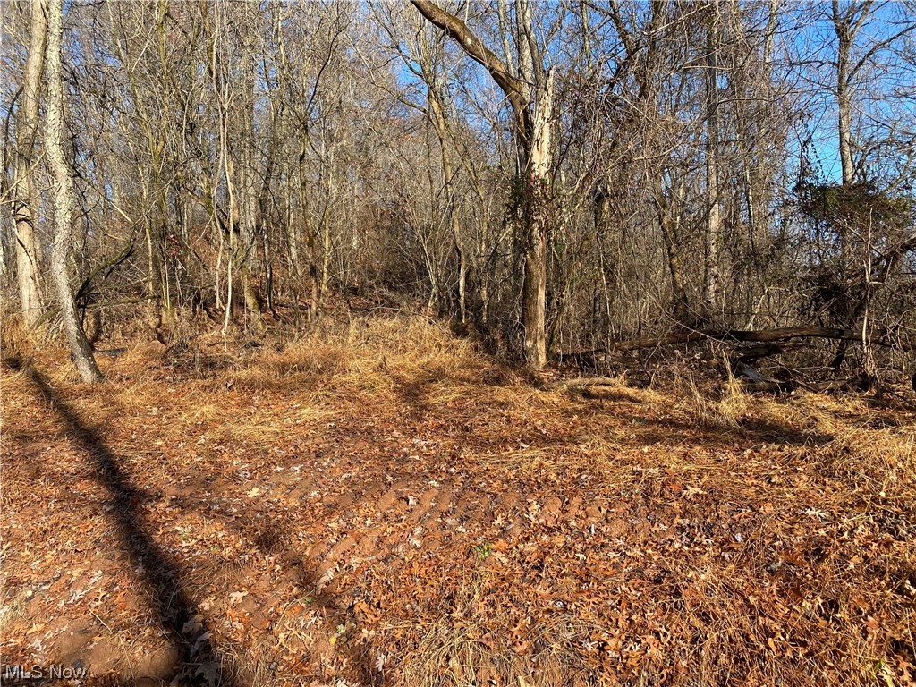 0 Shay Ridge Road New Matamoras, OH 45767 - Photo 22 of 29 View of mother earth's splendor