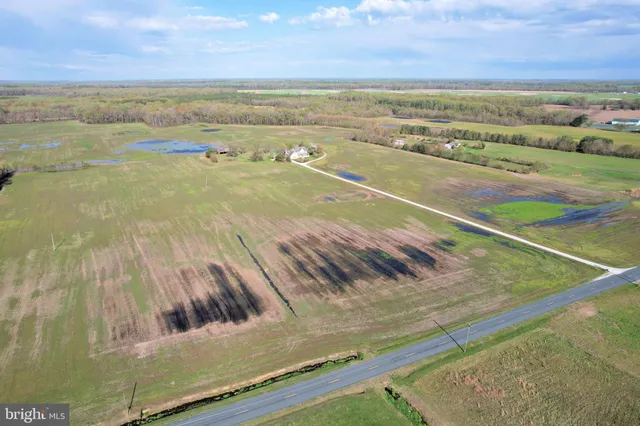 $1,475,000 | 14271 Cedar Lane, Greensboro, MD 21639