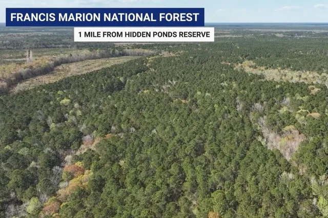 $1,053,869 | 1145 Reserve Lane, Awendaw, SC 29429