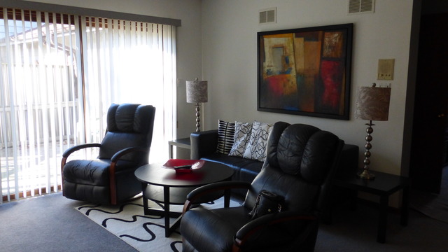 3 Commons Drive Palos Park, IL 60464 - Photo 6 of 9 a living room with furniture and a window