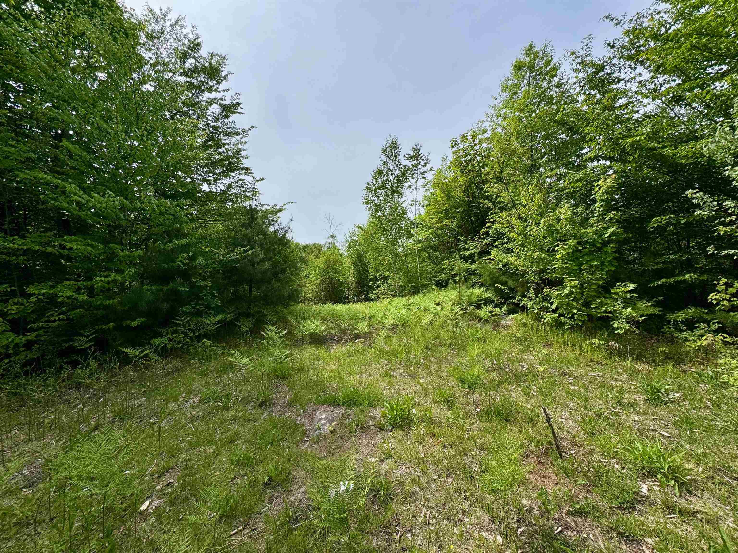 0 South County Road Groton, VT 05046 - Photo 6 of 11