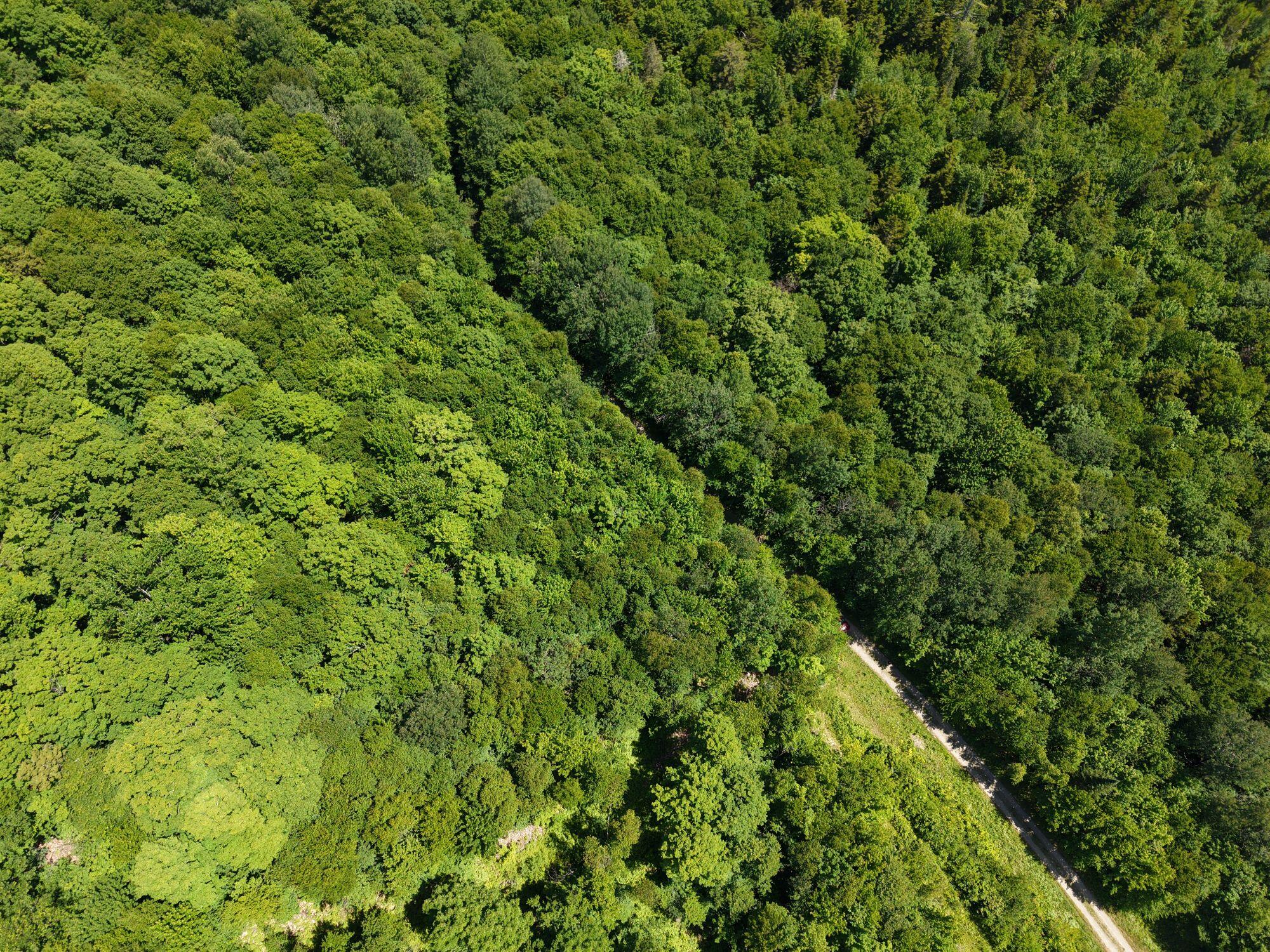 Mso3-l16 Flow Road New Portland, ME 04961 - Photo 18 of 30 DJI_20260712131344_0012_D