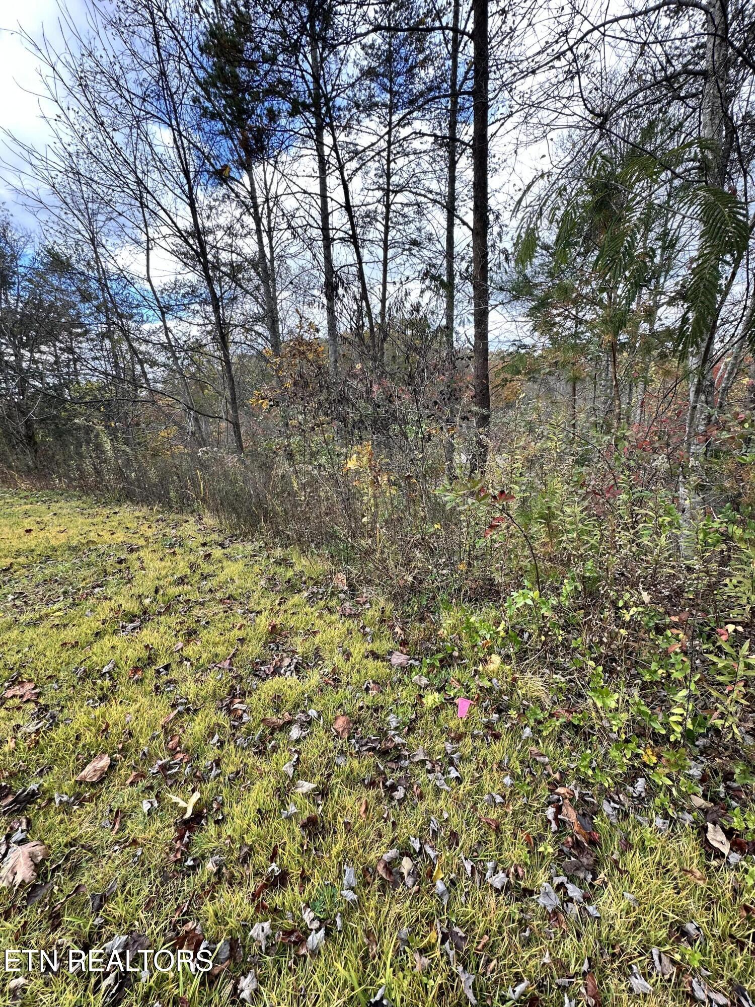 1652 Shady Grove Road Sevierville, TN 37876 - Photo 20 of 24 1652 Shady Grove Rd. pic 3