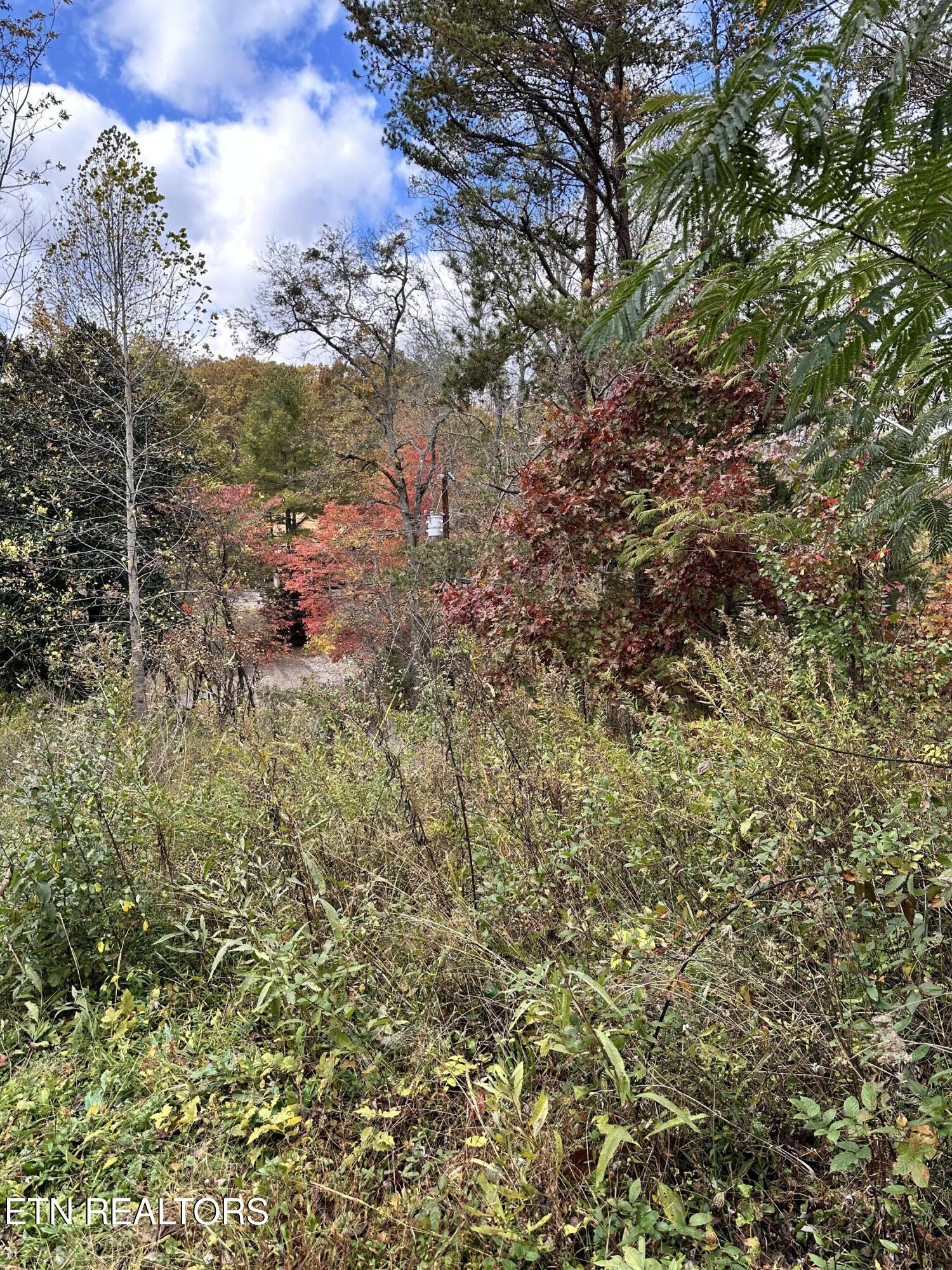 1652 Shady Grove Road Sevierville, TN 37876 - Photo 21 of 24 1652 Shady Grove Rd. side view