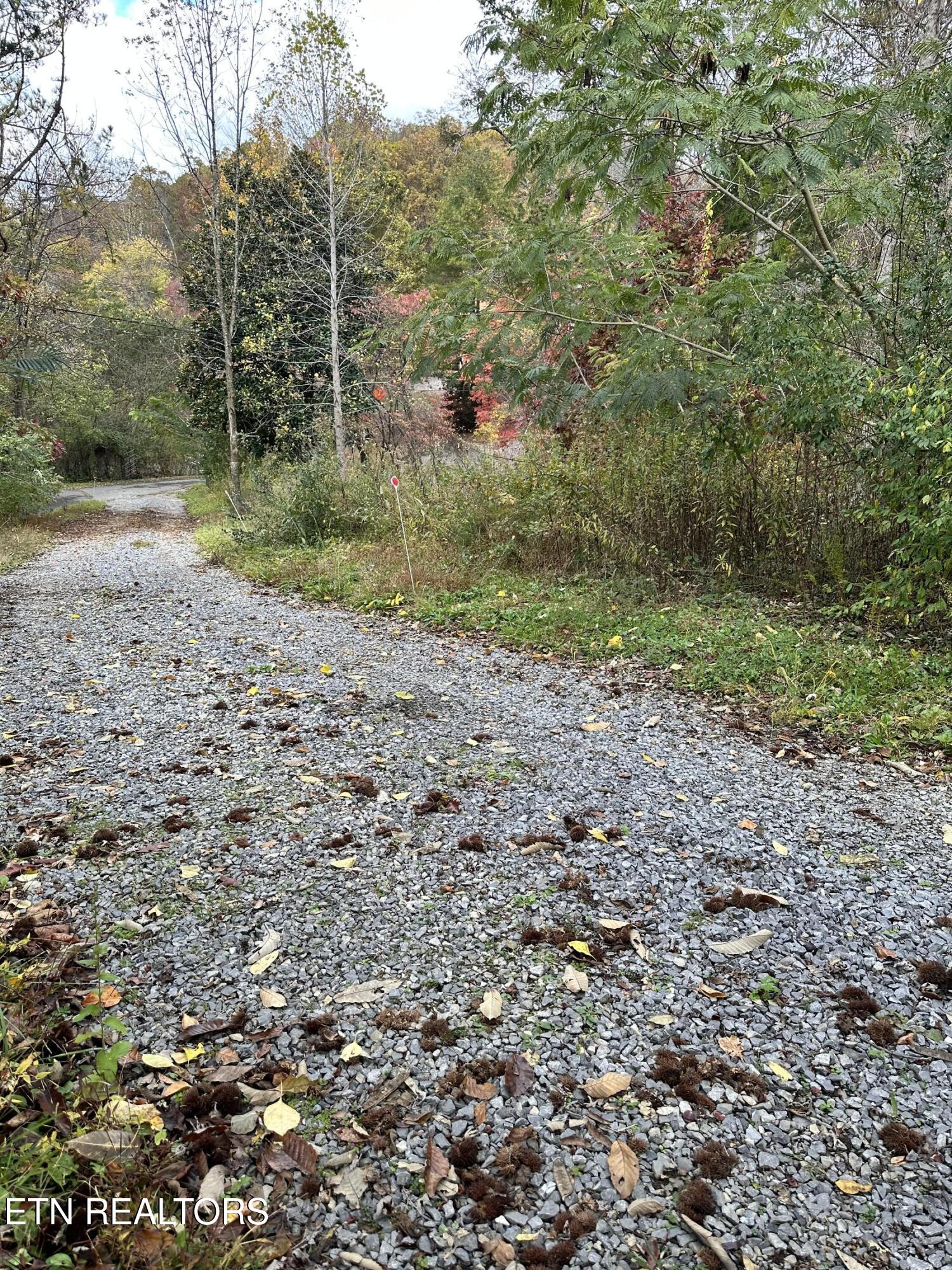 1652 Shady Grove Road Sevierville, TN 37876 - Photo 22 of 24 1652 Shady Grove Rd. drive