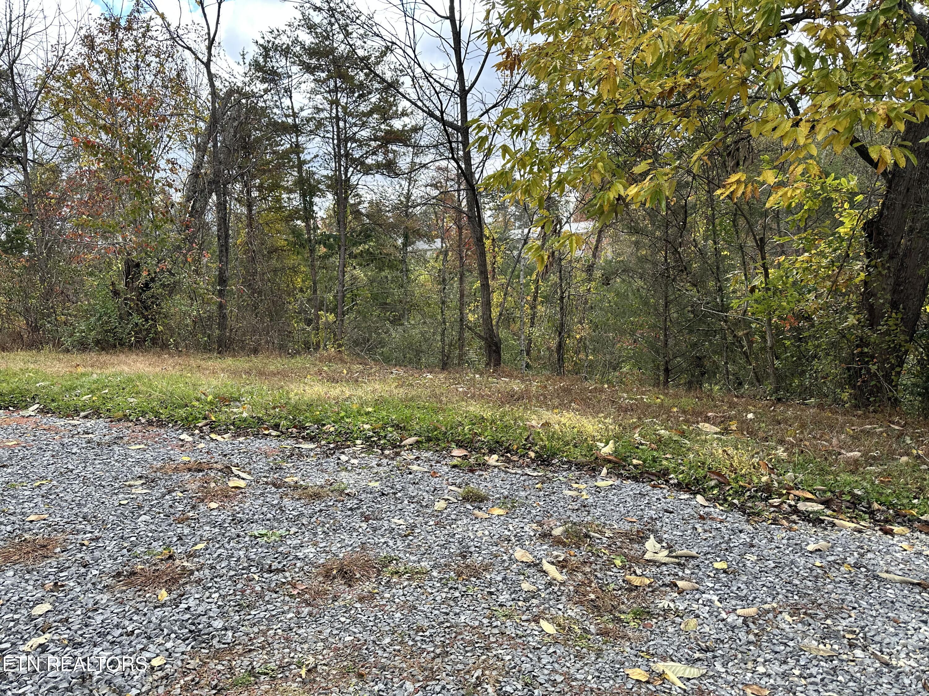 1652 Shady Grove Road Sevierville, TN 37876 - Photo 23 of 24 1652 Shady Grove Rd. pic 2