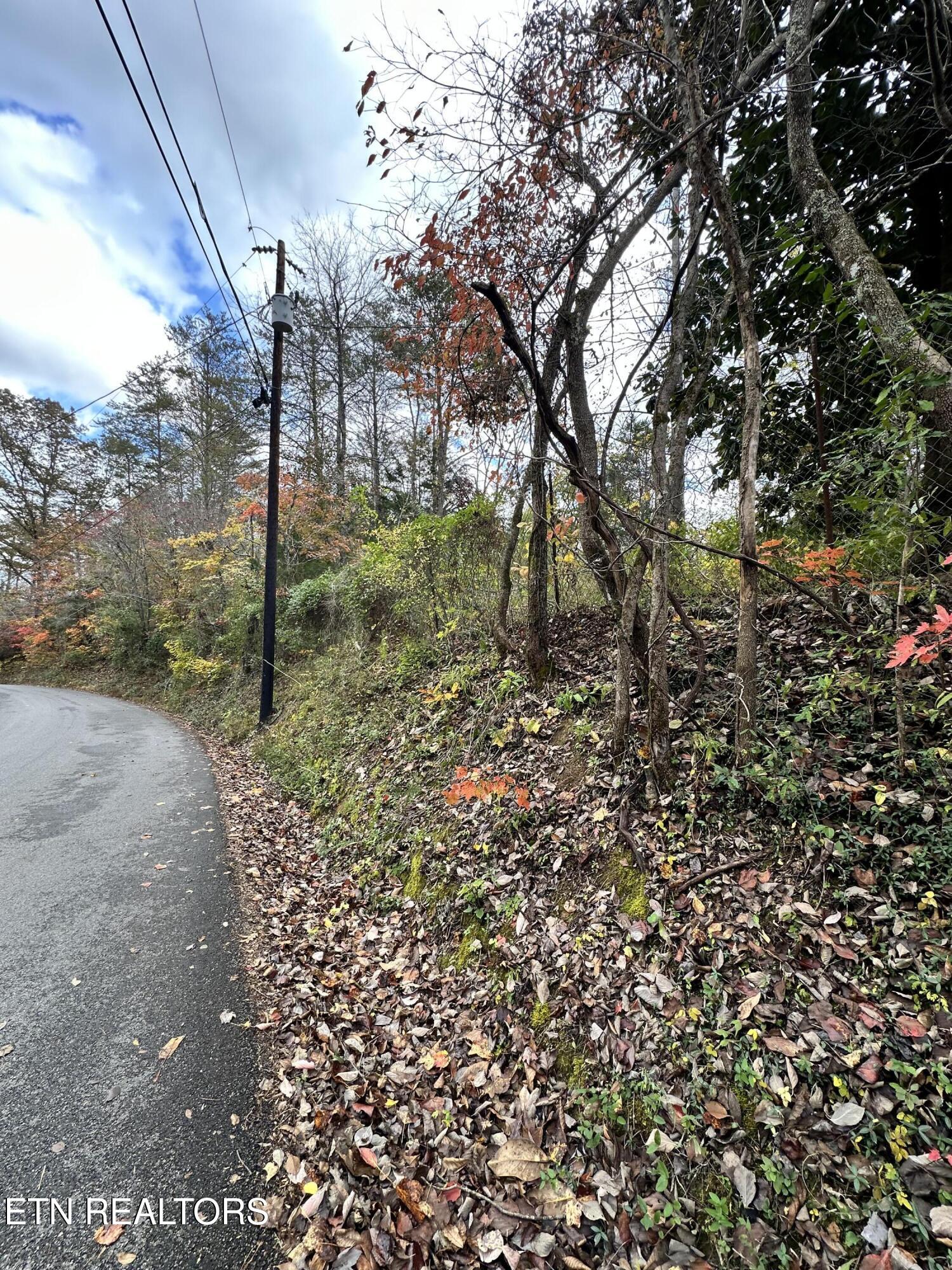 1652 Shady Grove Road Sevierville, TN 37876 - Photo 24 of 24 1652 Shady Grove Rd. street view 2