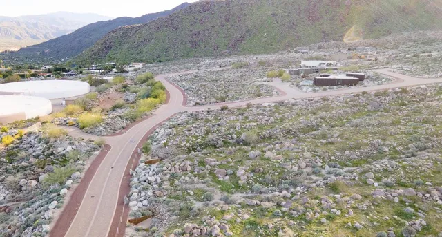 a view of a dry yard with green space