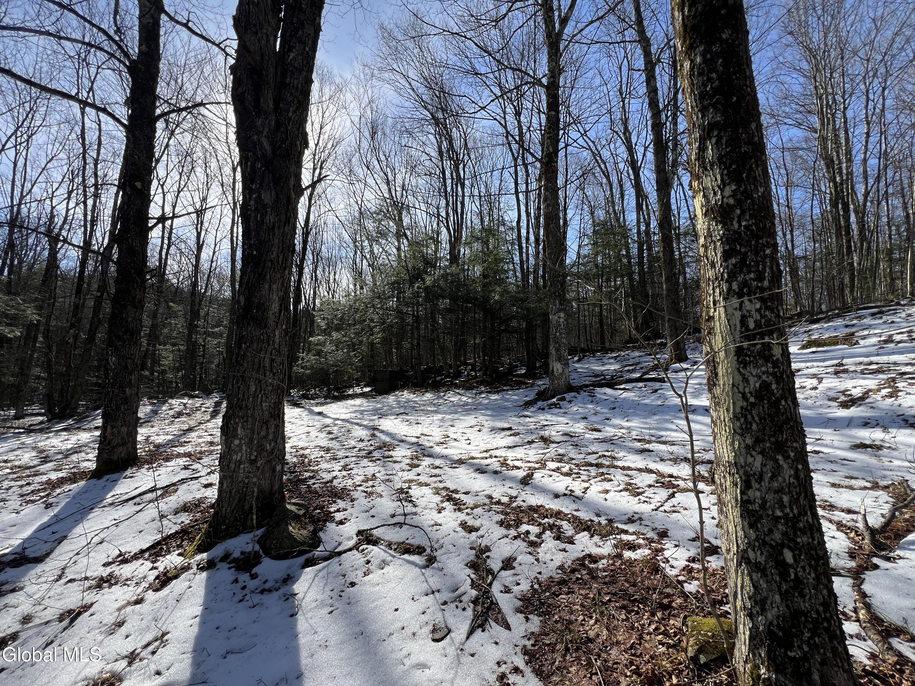 536 Bates Forest Road Conesville, NY 12076 - Photo 31 of 37 31) 72553-6a22a18960f4e