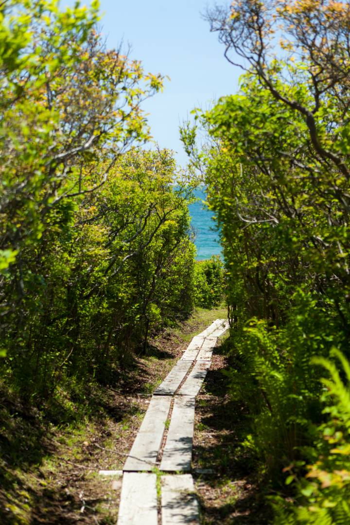 176 Deforest Road Montauk, NY 11954 - Photo 33 of 37 a view of a yard