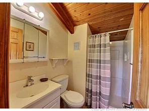 93 U Road Silverthorne, CO 80498 - Photo 11 of 18 a bathroom with a sink toilet and shower