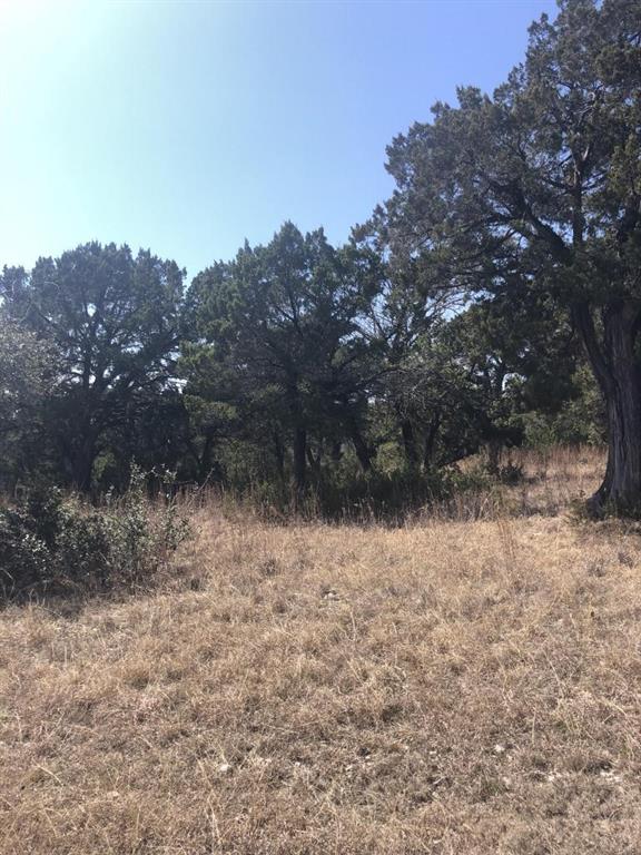1500 County Road 1500 Morgan, TX 76671 - Photo 1 of 1 a view of a dry yard with trees in the background
