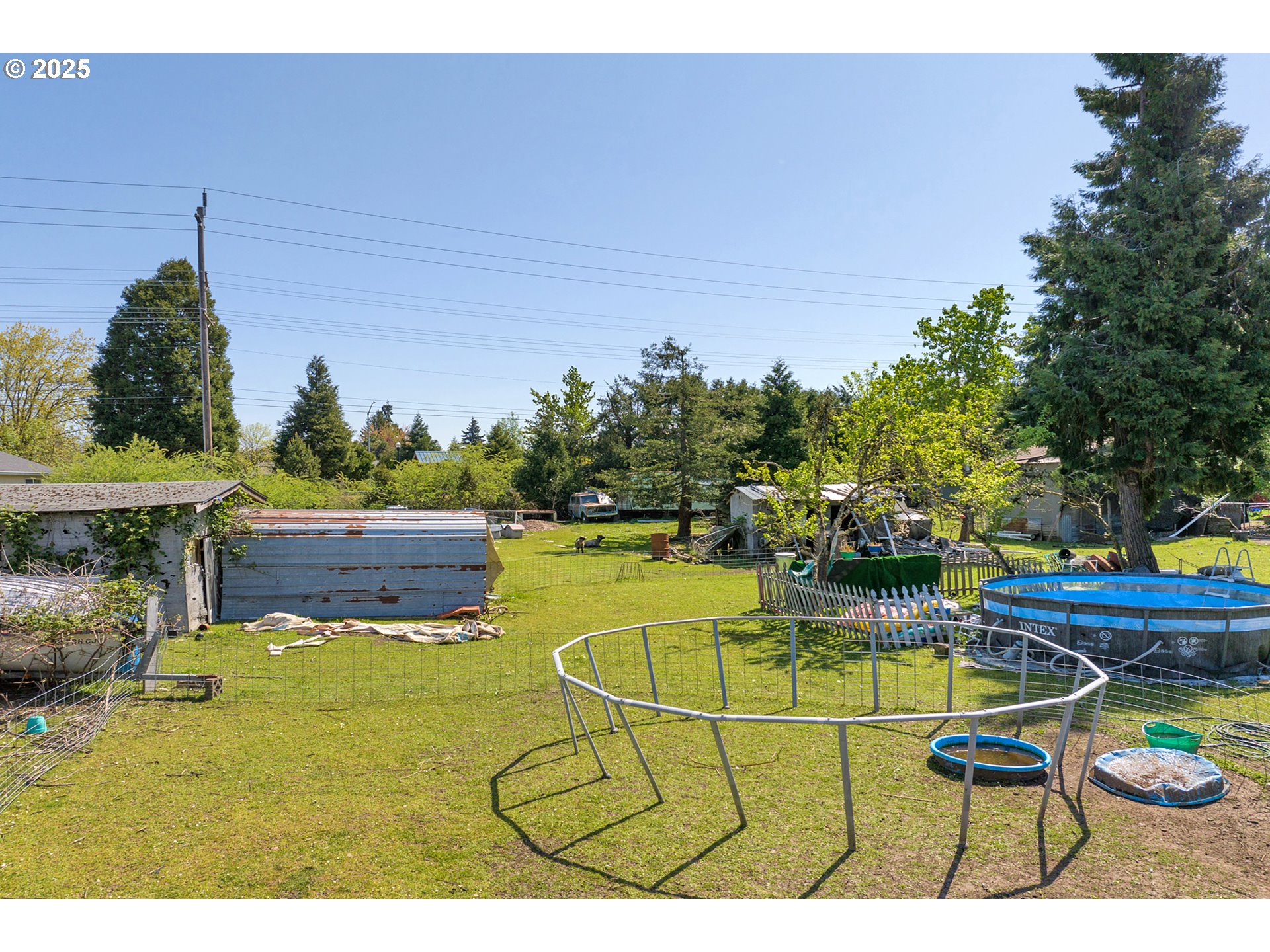 2165 Laura Street Springfield, OR 97477 - Photo 23 of 28