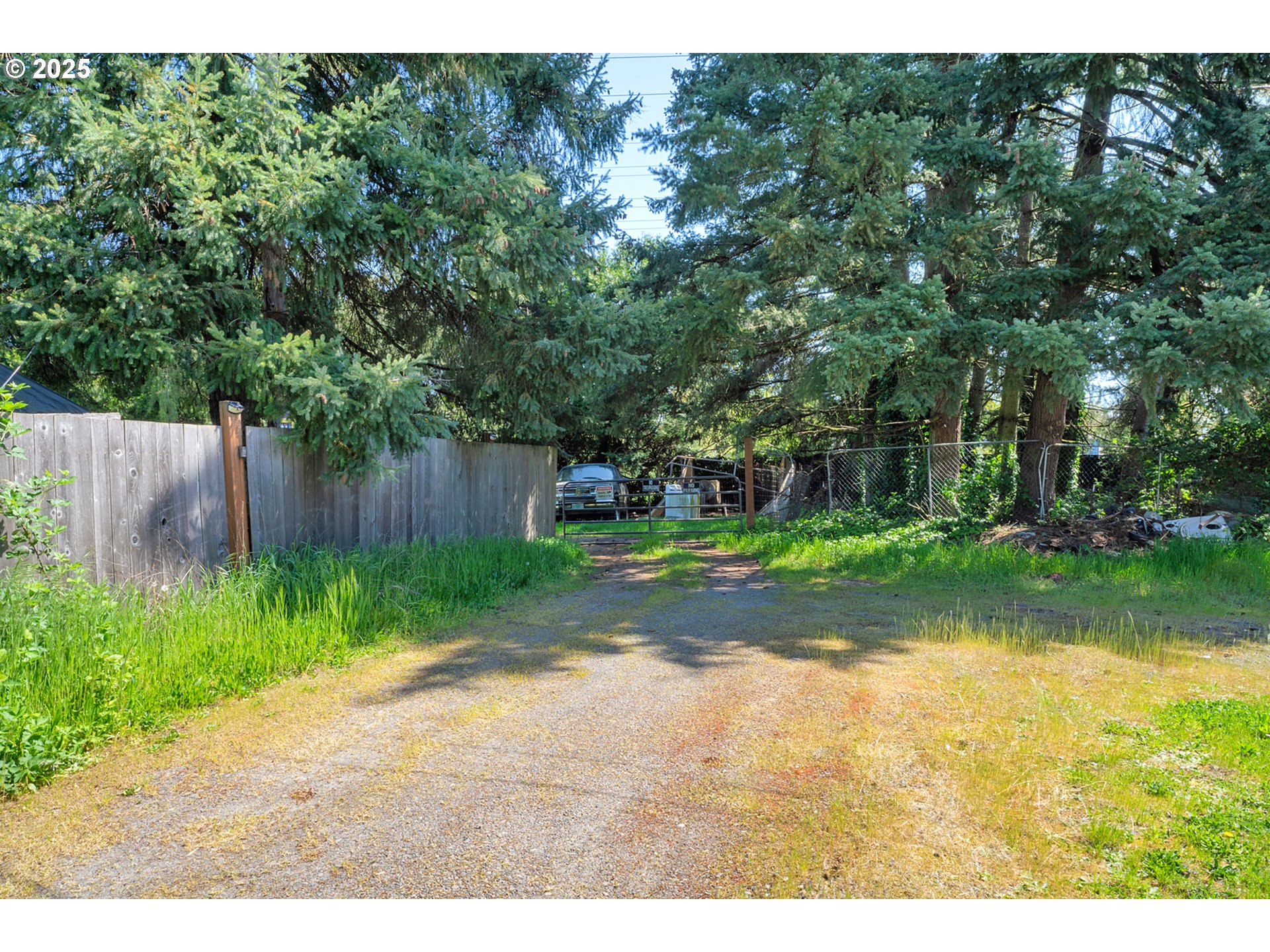 2165 Laura Street Springfield, OR 97477 - Photo 7 of 28