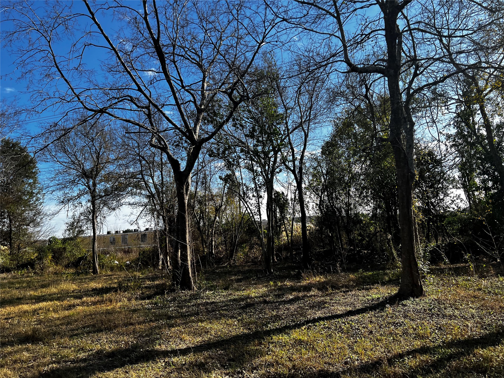0 Allendale Road Houston, TX 77017 - Photo 3 of 12 a view of a backyard with large trees