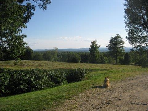 417 Ryerson Hill Road South Paris, ME 04281 - Photo 29 of 36 Photo