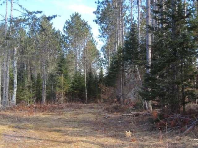 4119 Weber Lake Road Mercer, WI 54547 - Photo 10 of 14 Gallery Image 10