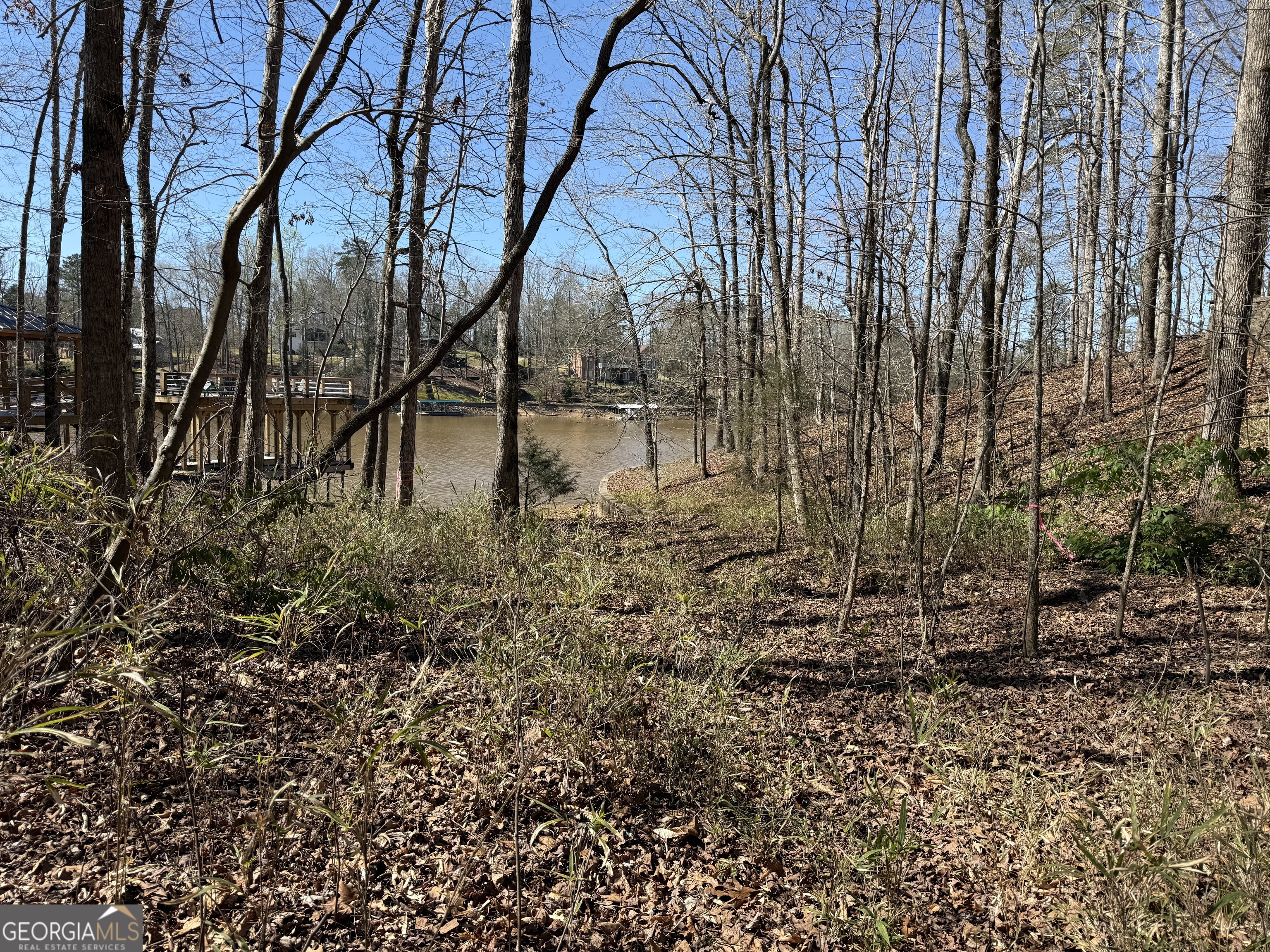 0 Muffit Drive Wedowee, AL 36278 - Photo 11 of 11 a backyard of a house with lots of green space