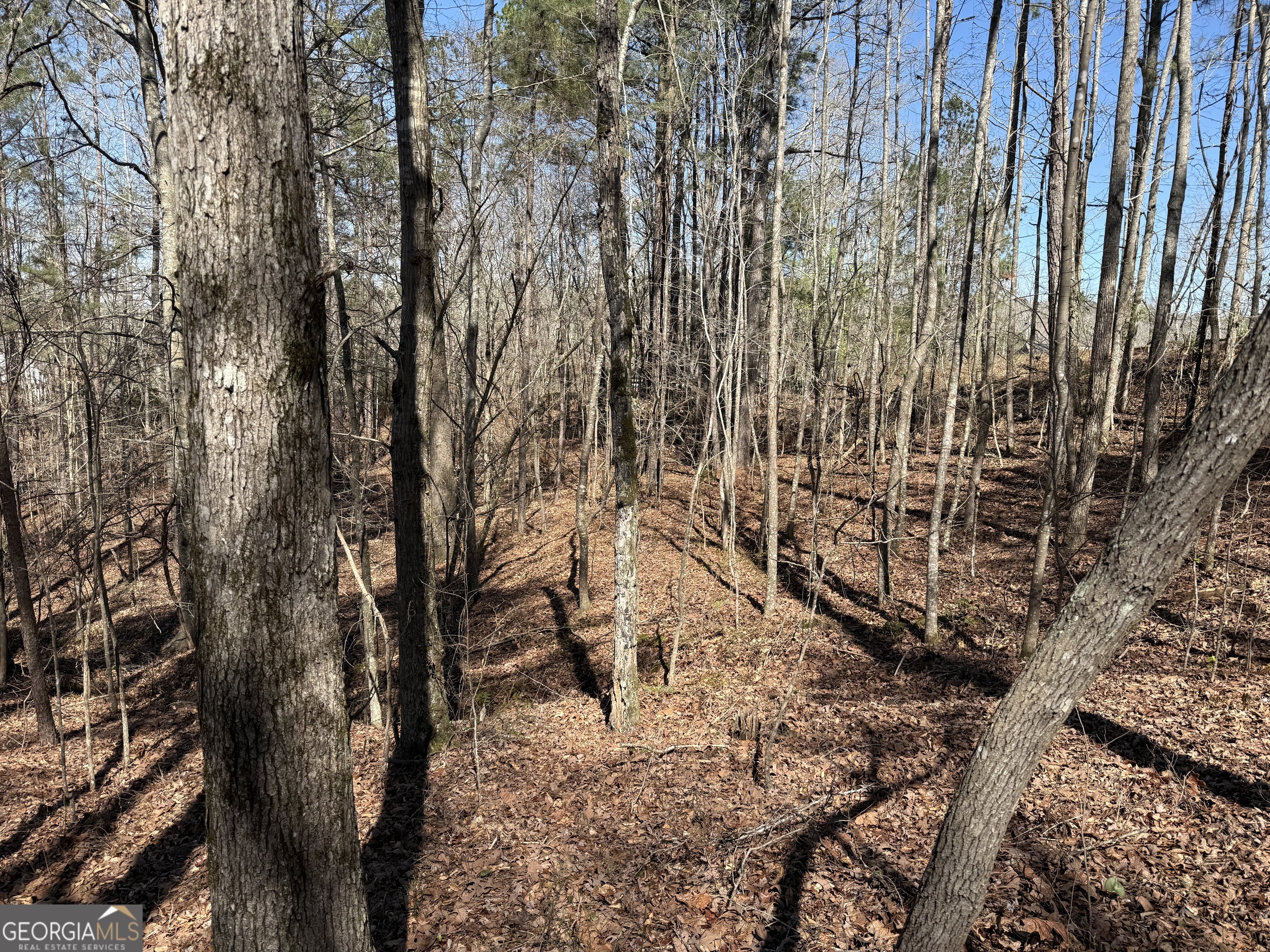 0 Muffit Drive Wedowee, AL 36278 - Photo 4 of 11 a view of a yard with plants and trees
