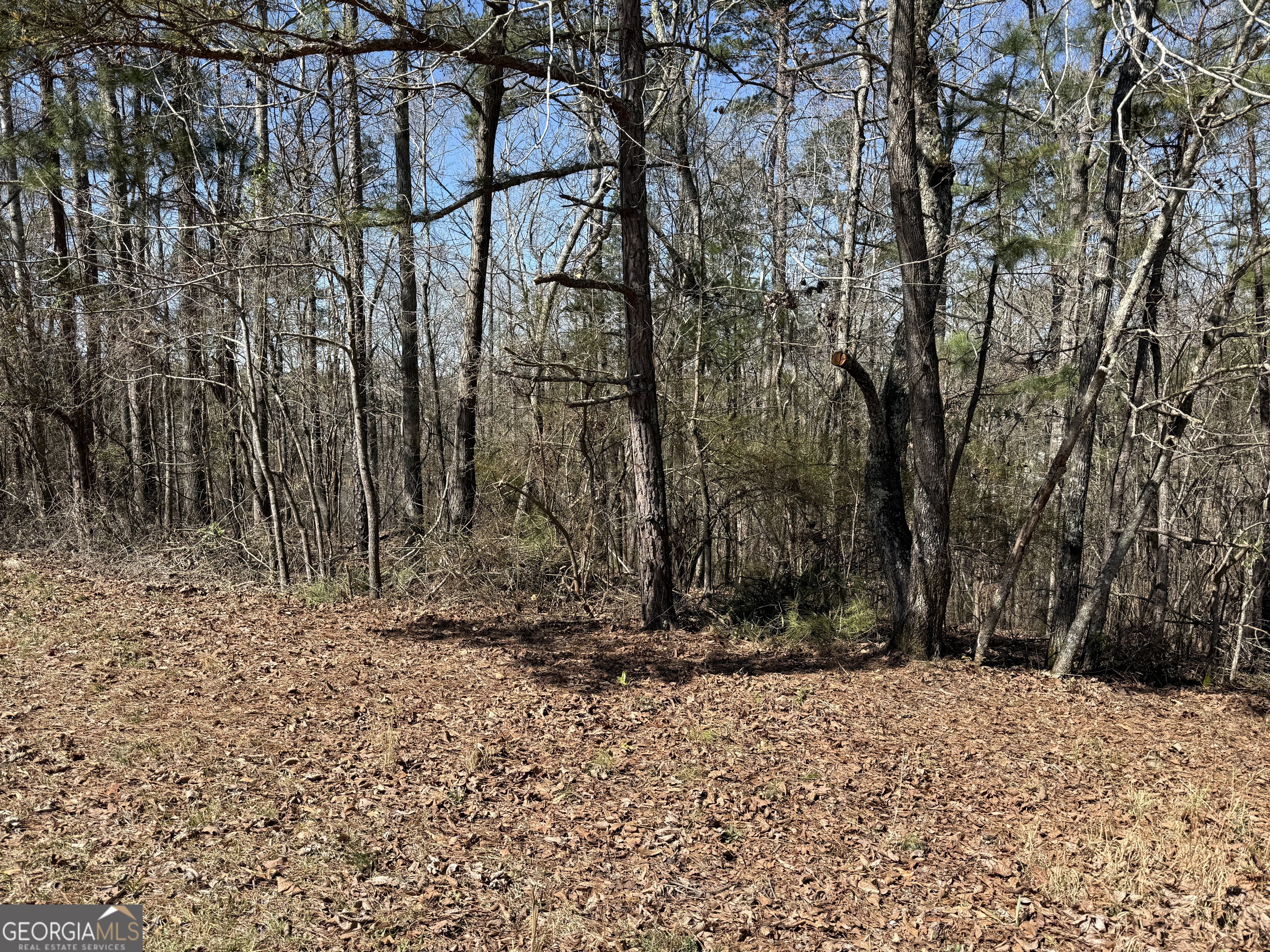 0 Muffit Drive Wedowee, AL 36278 - Photo 5 of 11 a view of a backyard of the house