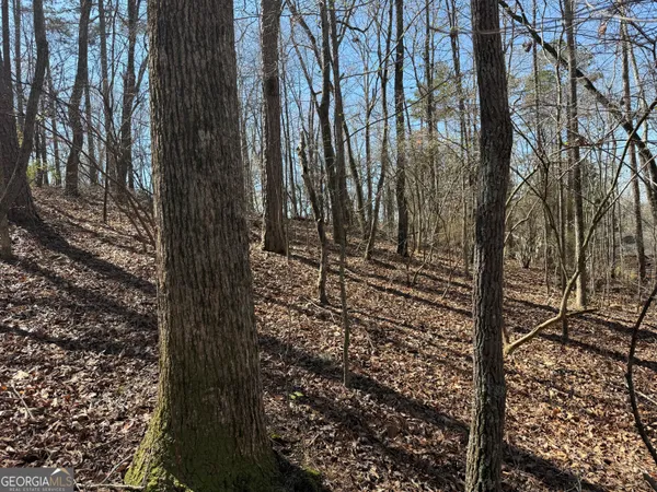 $75,000 | 0 Muffit Drive, Wedowee, AL 36278