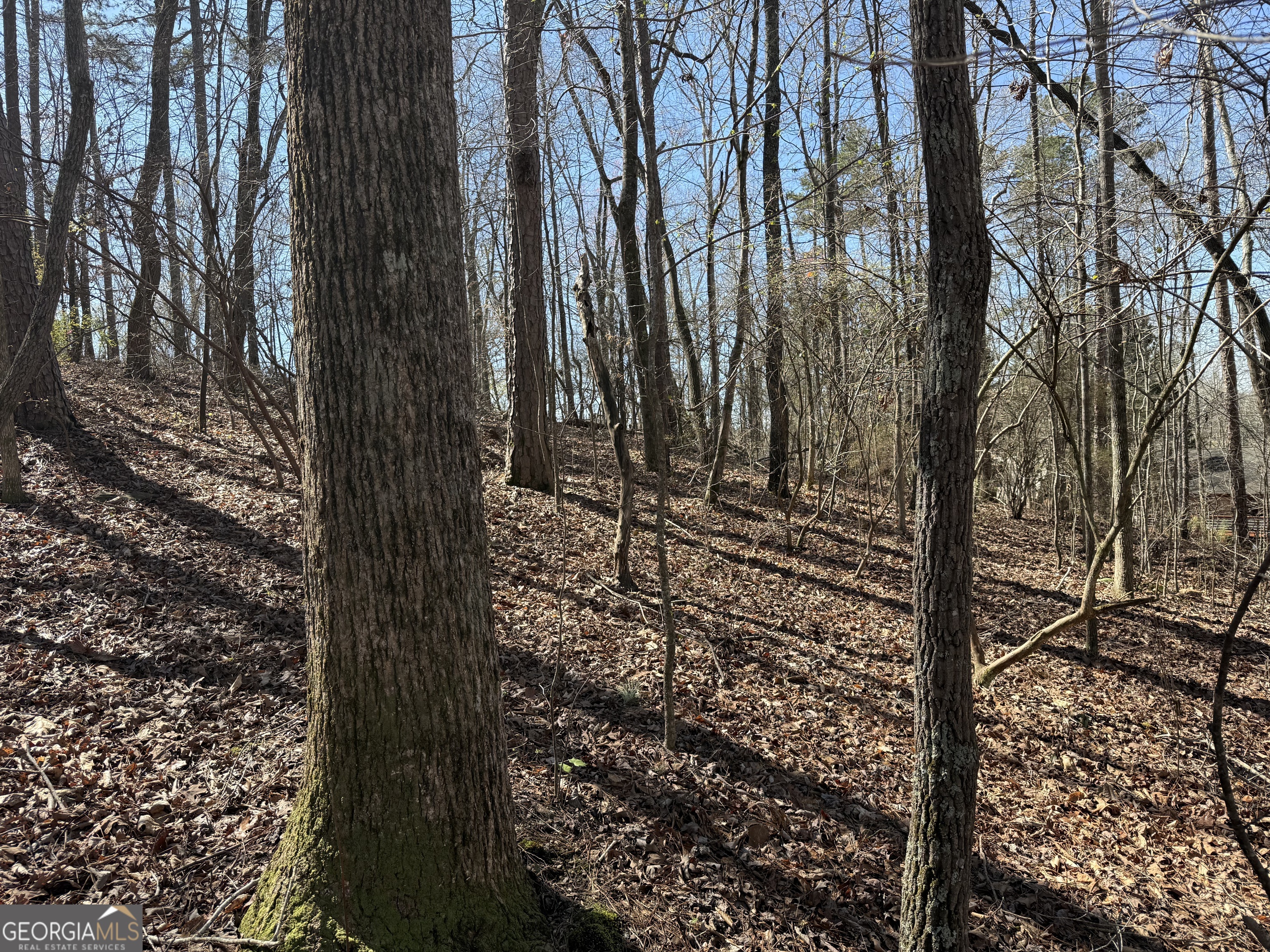 0 Muffit Drive Wedowee, AL 36278 - Photo 6 of 11 a view of a backyard of the house