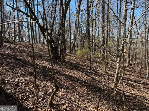 $75,000 | 0 Muffit Drive, Wedowee, AL 36278