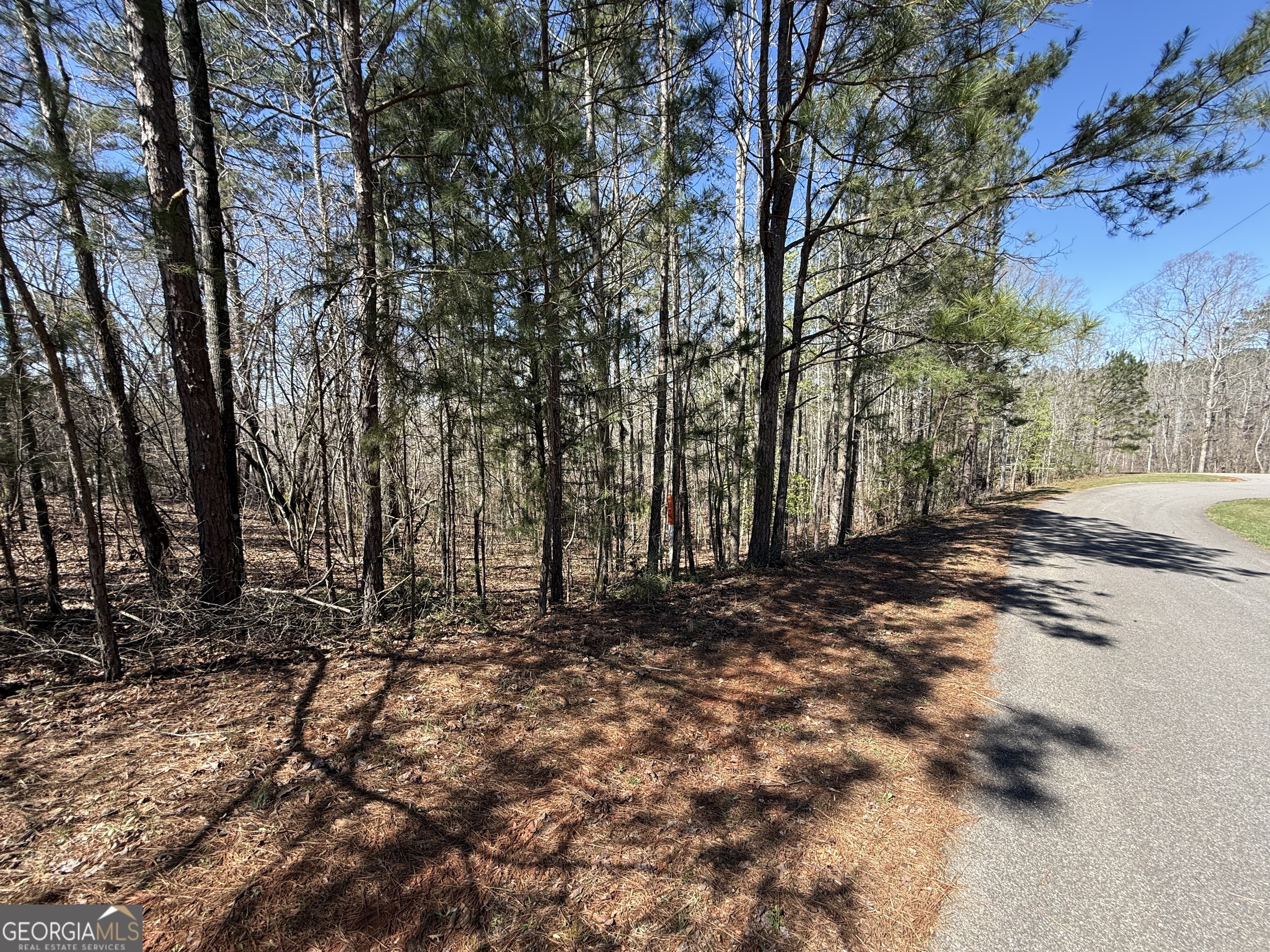 0 Muffit Drive Wedowee, AL 36278 - Photo 8 of 11 a view of a yard with trees