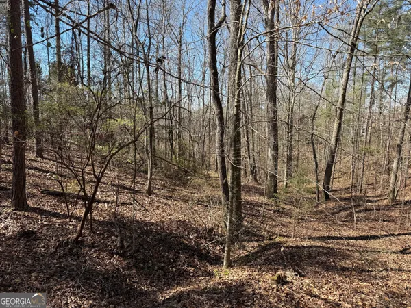 $75,000 | 0 Muffit Drive, Wedowee, AL 36278
