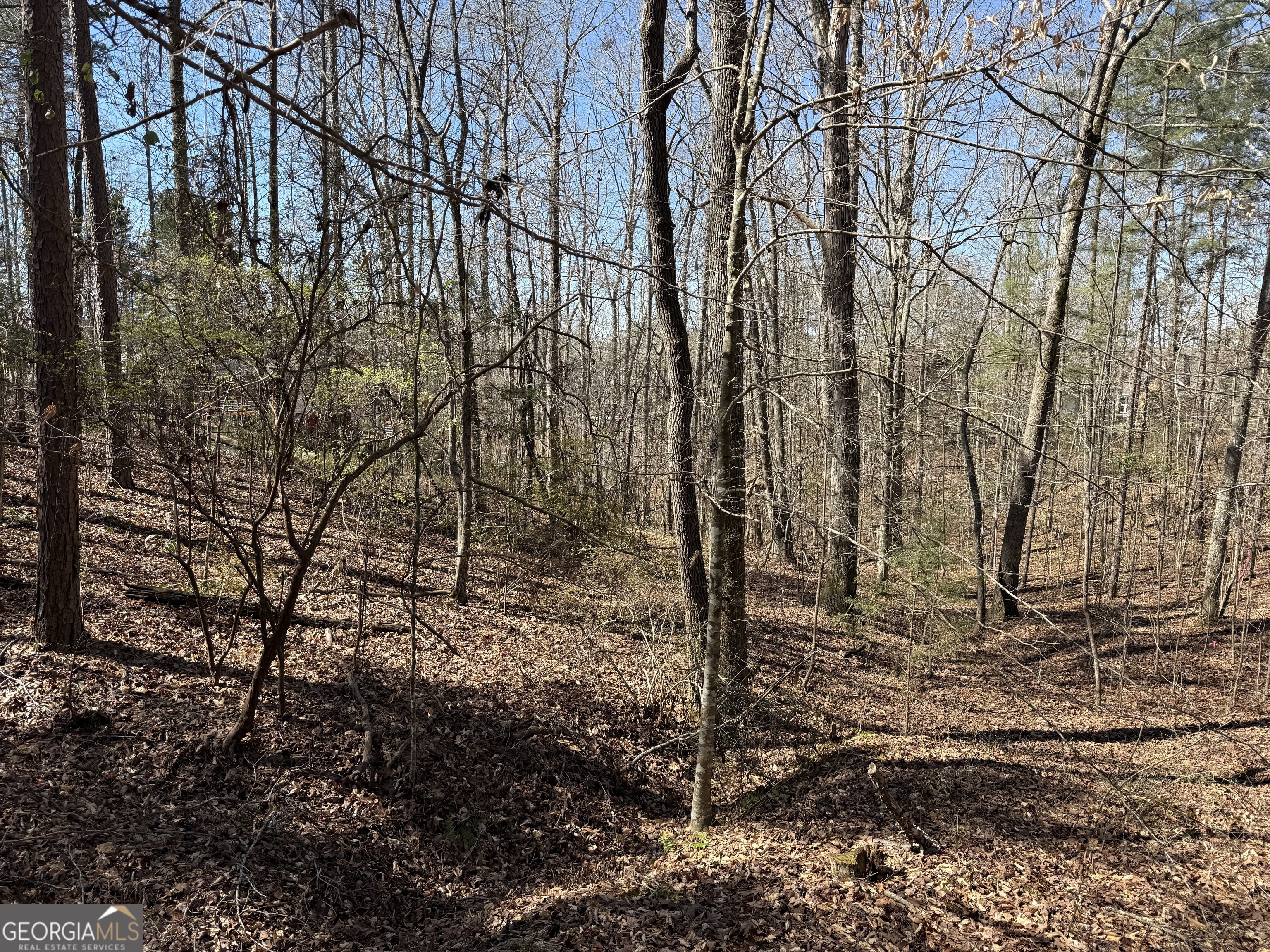 0 Muffit Drive Wedowee, AL 36278 - Photo 9 of 11 a backyard of a house with lots of green space