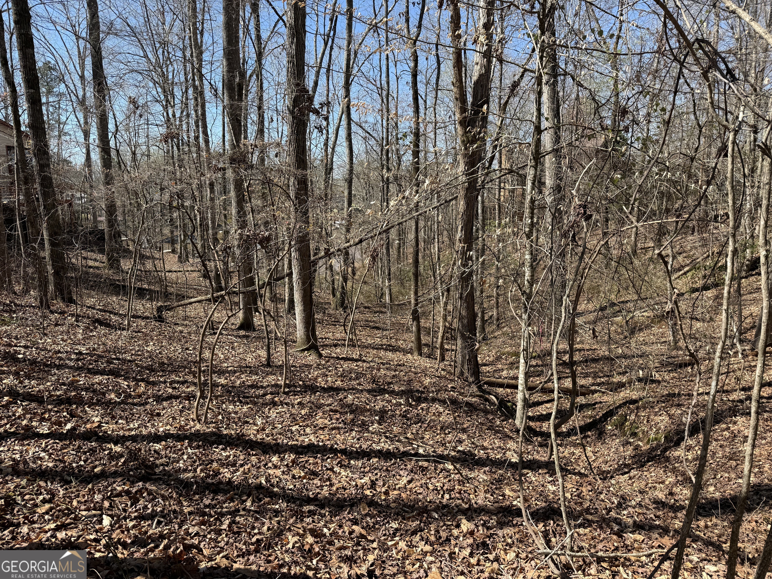 0 Muffit Drive Wedowee, AL 36278 - Photo 10 of 11 a view of a yard with lots of trees