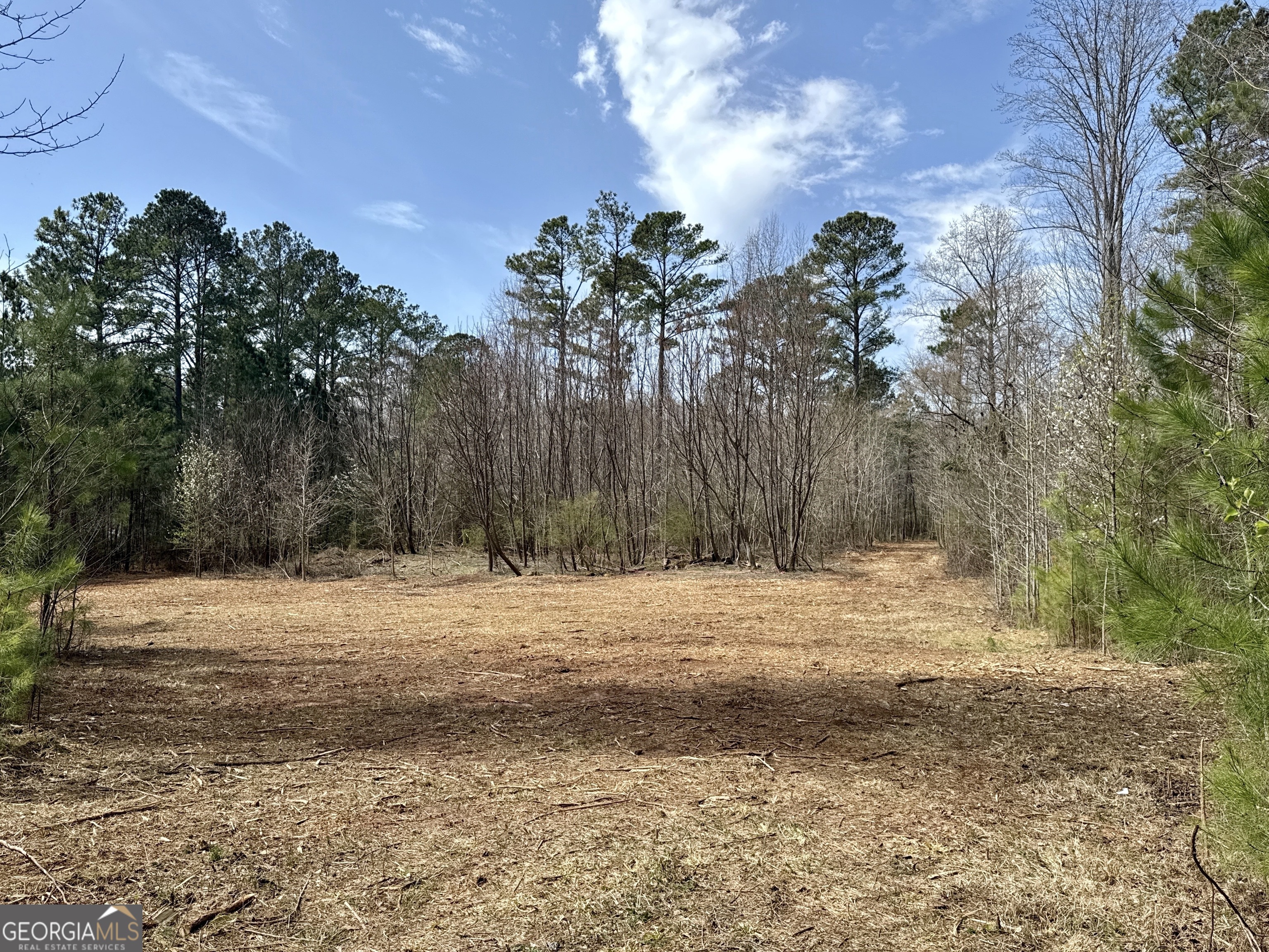 0 Inman Road, Unit 29 5 ACRES Fayetteville, GA 30215 - Photo 1 of 1 Gallery Image 1