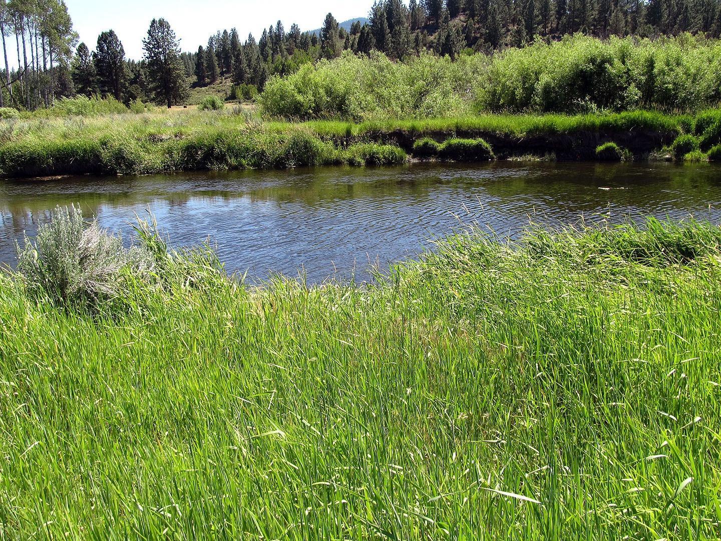 0 Sunburst Estates Chiloquin, OR 97624 - Photo 8 of 11 Additional Photo