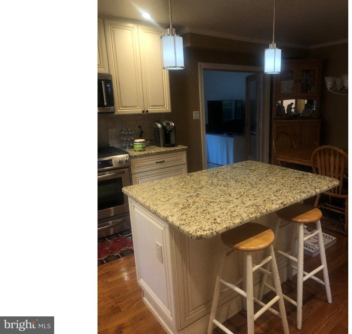 304 Morris Road Wayne, PA 19087 - Photo 10 of 25 Kitchen