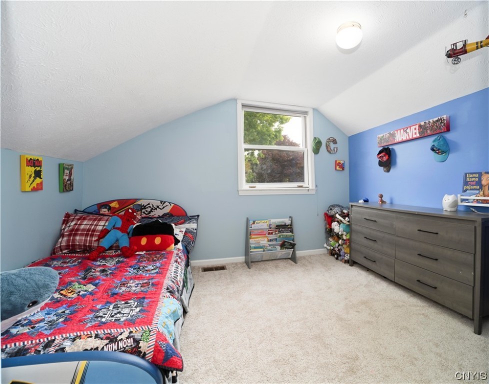 1680 Berry Road Fabius, NY 13084 - Photo 38 of 49