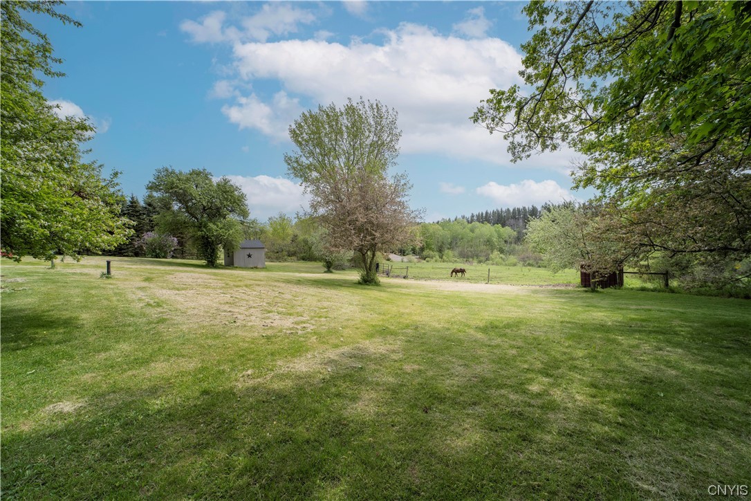 1680 Berry Road Fabius, NY 13084 - Photo 43 of 49